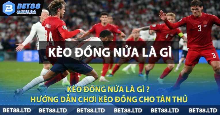 Kèo Đồng Nửa Là Gì ? Hướng Dẫn Chơi Kèo Đồng Cho Tân Thủ